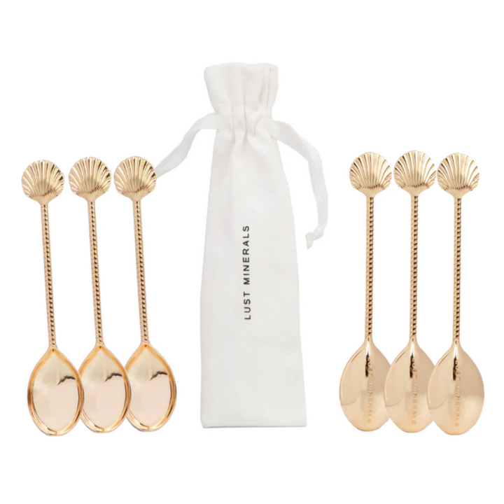 6 Pack Golden Shell Spoon